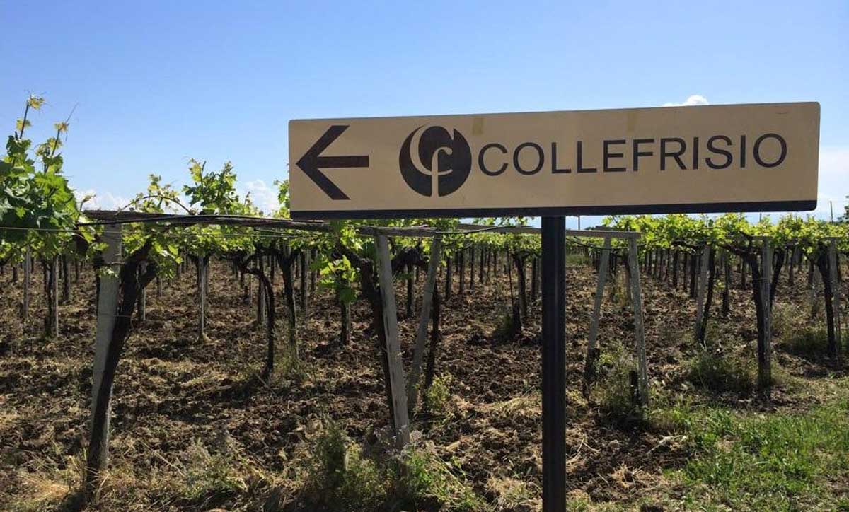 CF Ten Vintages