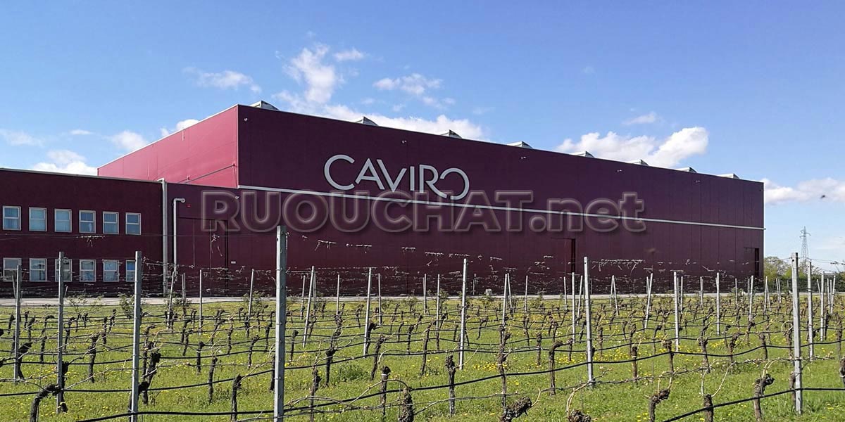 Tavernello Organico Syrah Terre Siciliane