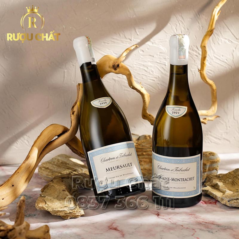 Chartron et Trébuchet Chassagne-Montrachet