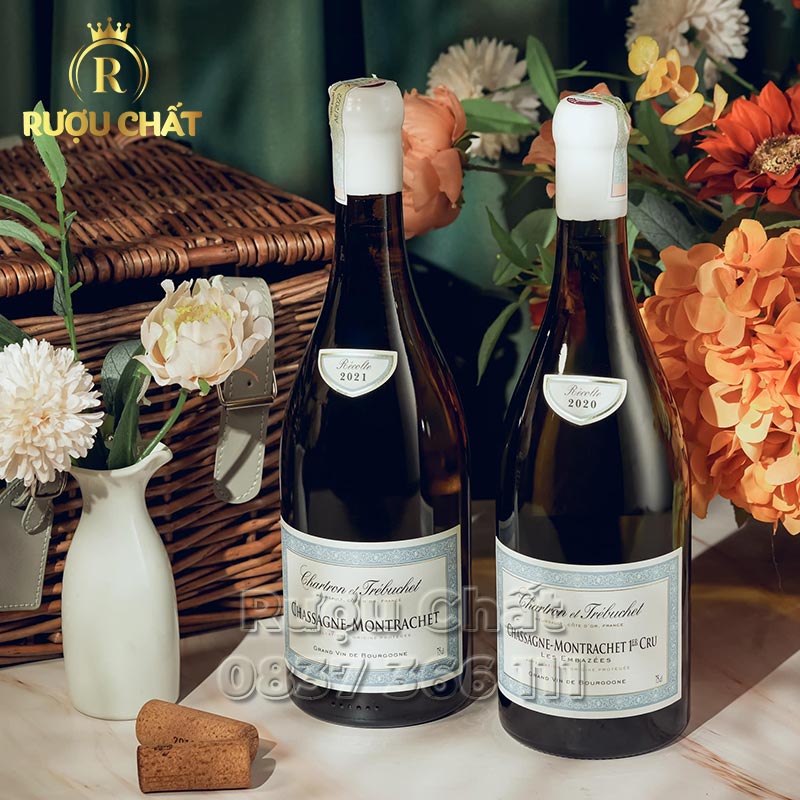 Chartron et Trébuchet Chassagne-Montrachet