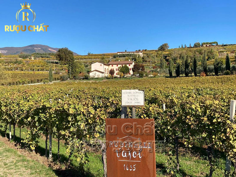 Rubinelli Vajol Valpolicella Ripasso Classico Superiore