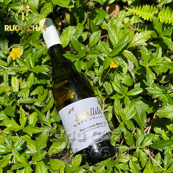 Satellite Sauvignon Blanc Satellite Sauvignon Blanc