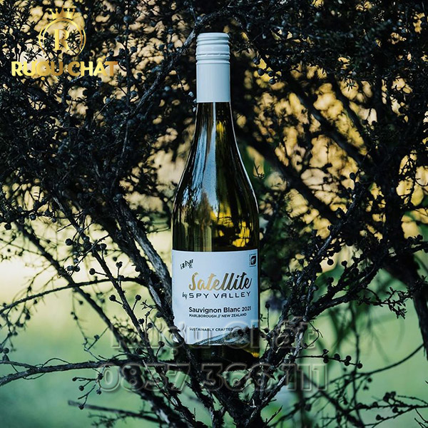 Satellite Sauvignon Blanc
