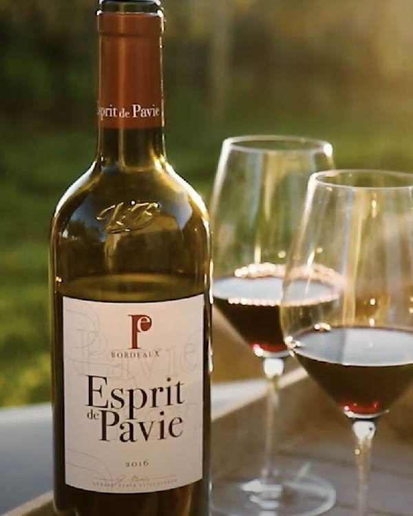 Khám Phá Vẻ Đẹp Tinh Tế Của Rượu Vang Esprit de Pavie