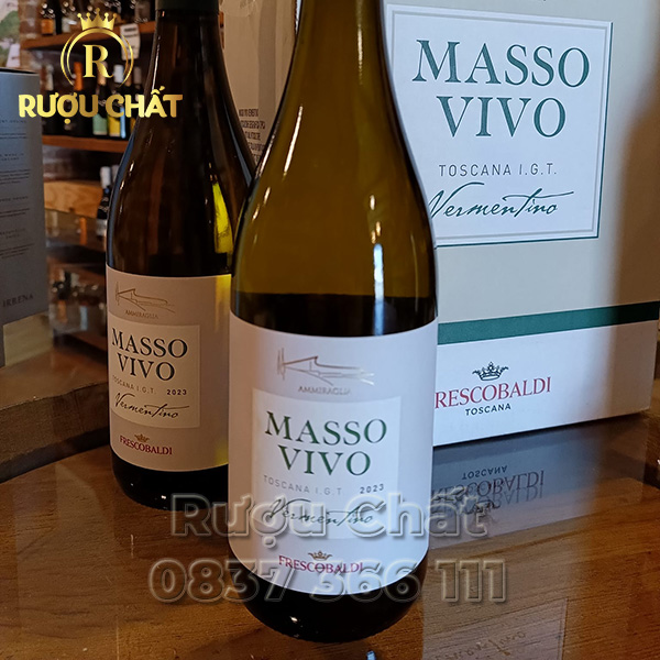 Tenuta Ammiraglia Masso Vivo Tenuta Ammiraglia Masso Vivo