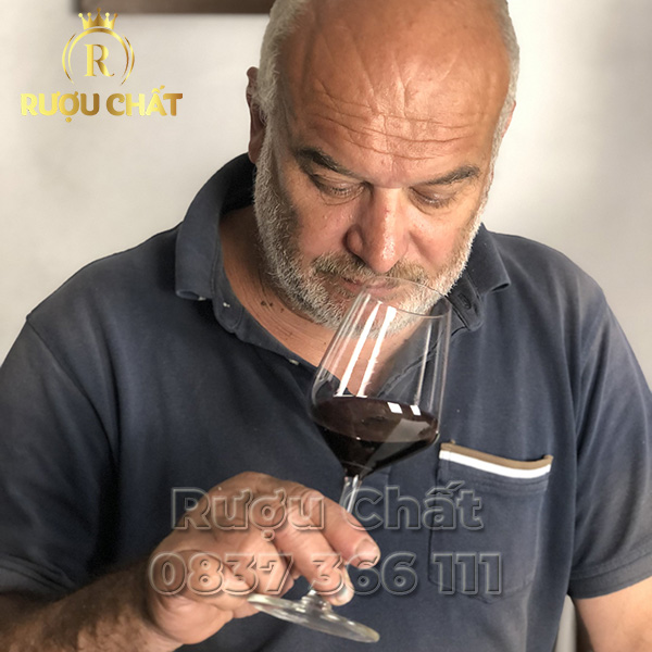 Sandrone Barbera D'Alba