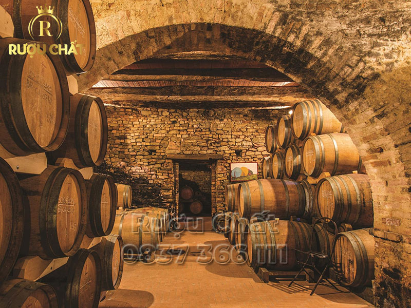Vietti Barbera d'Asti Trevigne