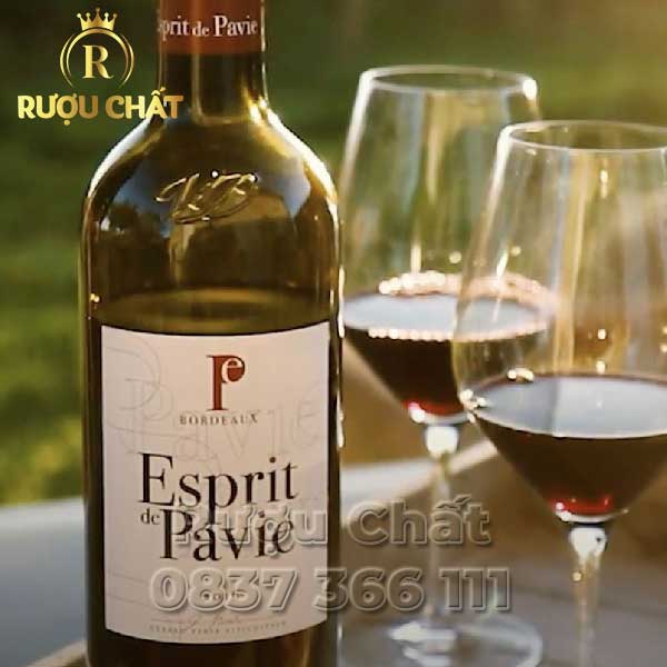 Esprit de Pavie