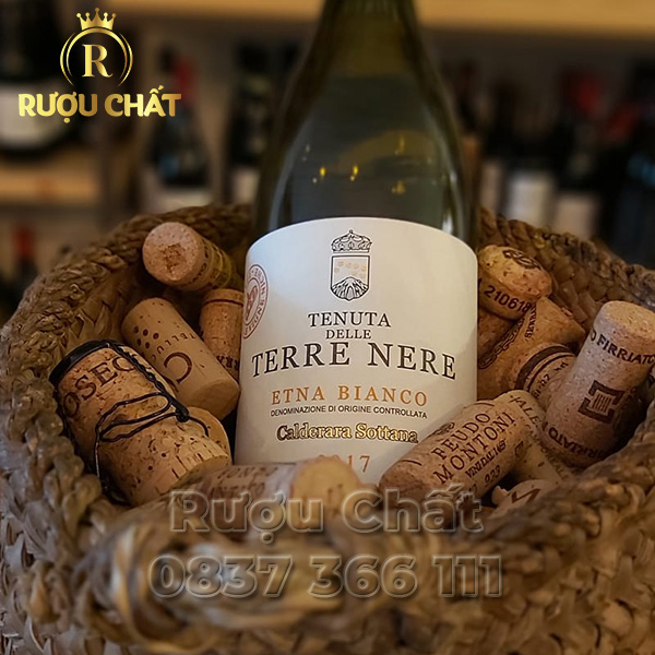 Terre Nere Etna Bianco Terre Nere Etna Bianco