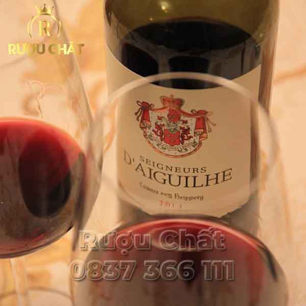 Château D'aiguilhe